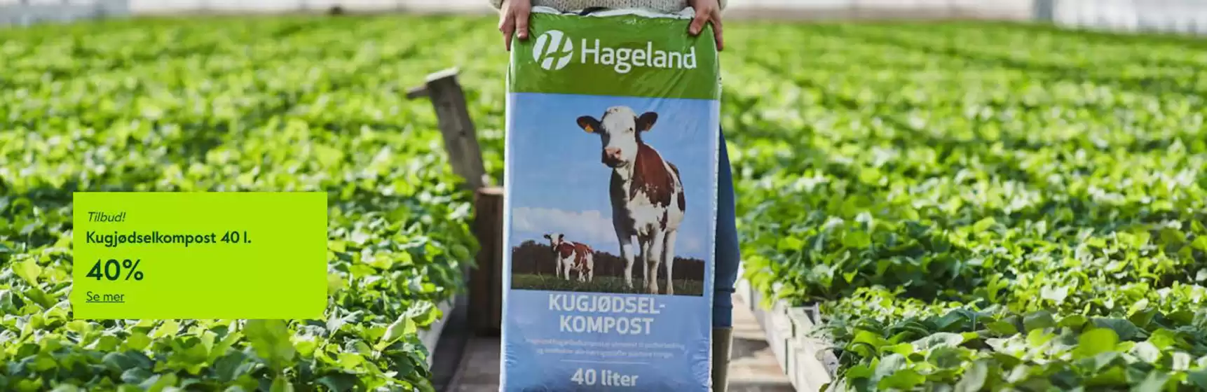 Hageland-katalog i Flakstad | 40%  | 2025-08-07T00:00:00.000Z - 2025-08-21T00:00:00.000Z