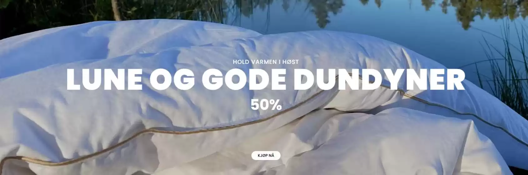 50%