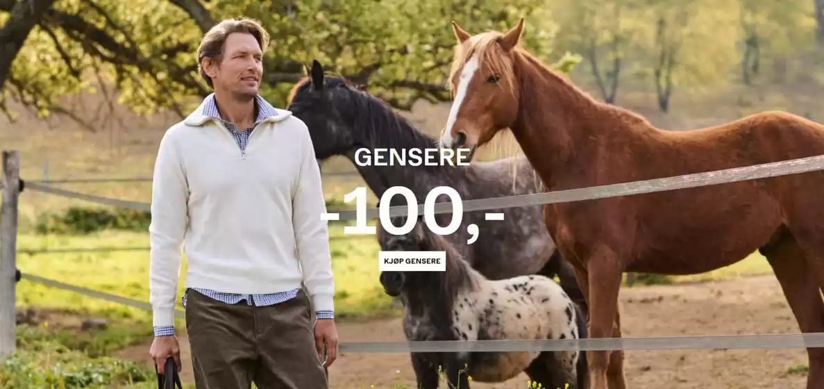 Gensere -100,-