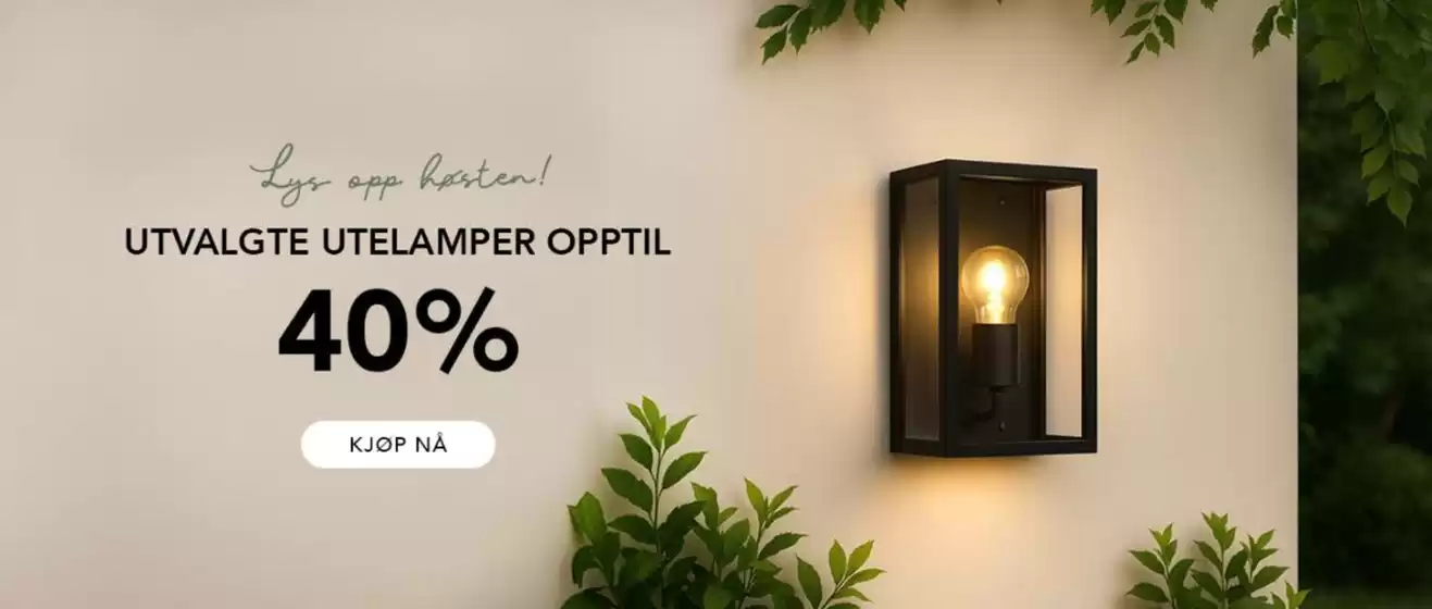 40% 