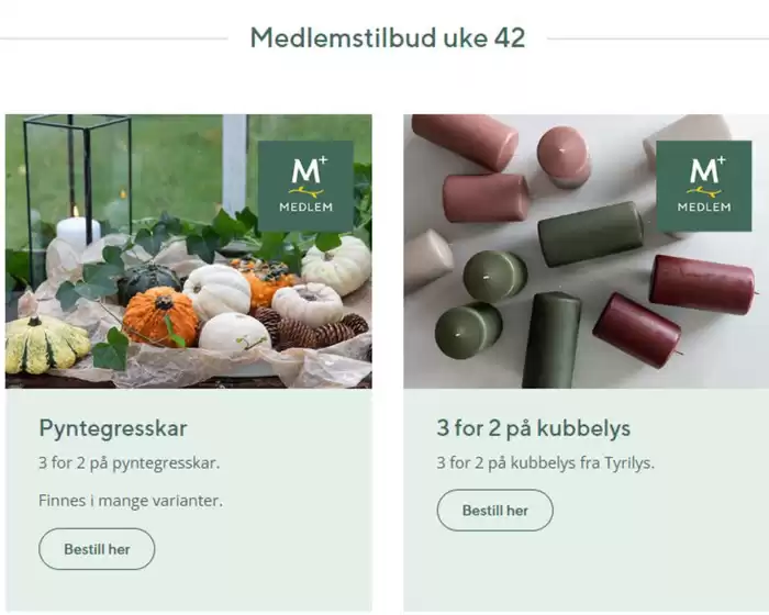 Mester Grønn-katalog | Medlemstilbud uke 42 | 2025-10-13T00:00:00.000Z - 2025-10-19T00:00:00.000Z