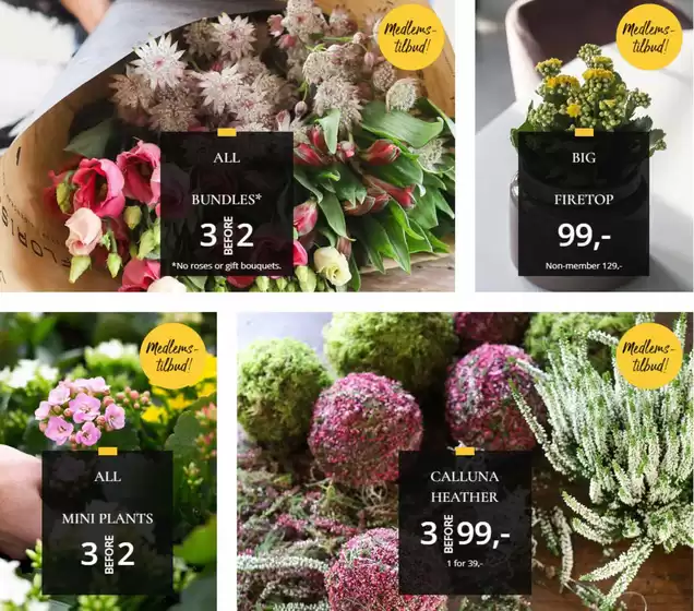 Floriss-katalog | Medlems- tilbud! | 2025-10-13T00:00:00.000Z - 2025-10-19T00:00:00.000Z