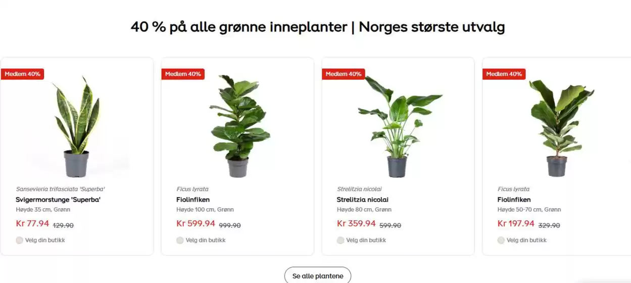 30 % på all lyng