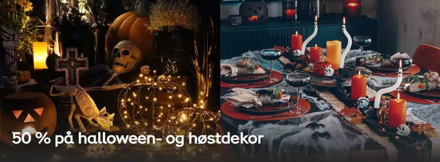 Plantasjen-katalog i Nesoddtangen | 50 % på halloween- og høstdekor | 2025-10-24T00:00:00.000Z - 2025-11-07T00:00:00.000Z