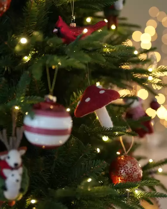 Topptilbud for smarte sparere