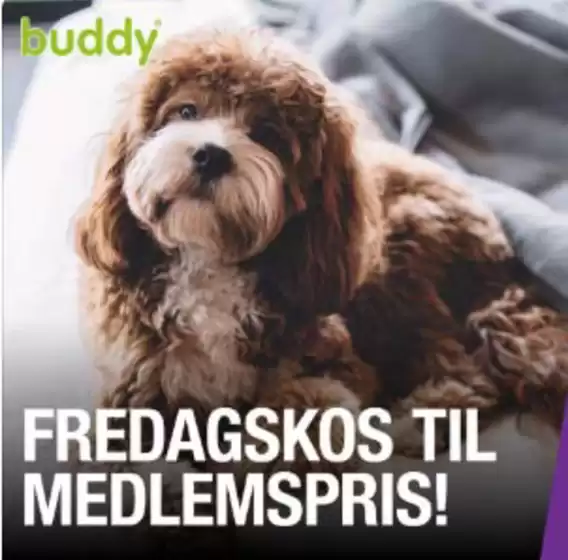 Buddy-katalog i Drammen | Fredagskos til medlemspris! | 2025-11-07T00:00:00.000Z - 2026-02-28T00:00:00.000Z