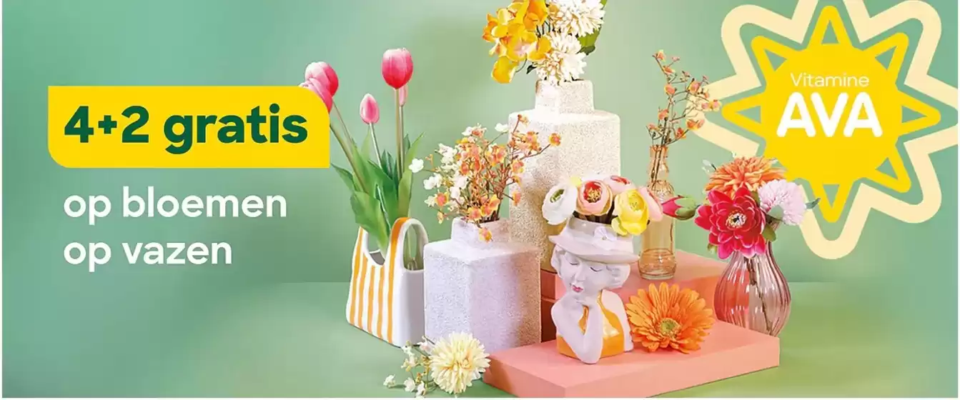 Catalogue AVA | Oferta-NL | 2026-04-10T00:00:00.000Z - 2026-05-10T00:00:00.000Z