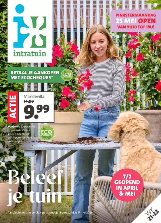 Catalogue Intratuin à Peer | Offres spéciales pour vous | 2026-05-18T00:00:00.000Z - 2026-05-31T00:00:00.000Z