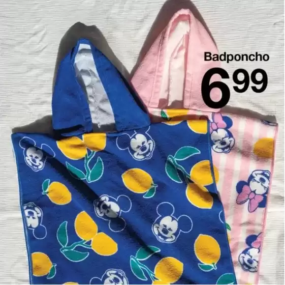 Catalogue Zeeman | Oferta-NL | 2026-05-18T00:00:00.000Z - 2026-06-18T00:00:00.000Z