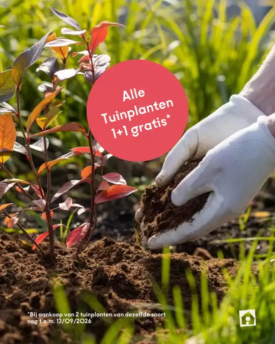 Catalogue Eurotuin | Oferta | 2026-09-04T00:00:00.000Z - 2026-09-13T00:00:00.000Z