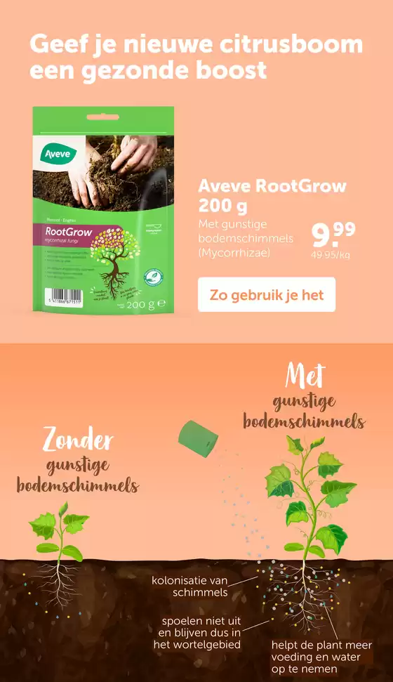 Zonne-Kloppers