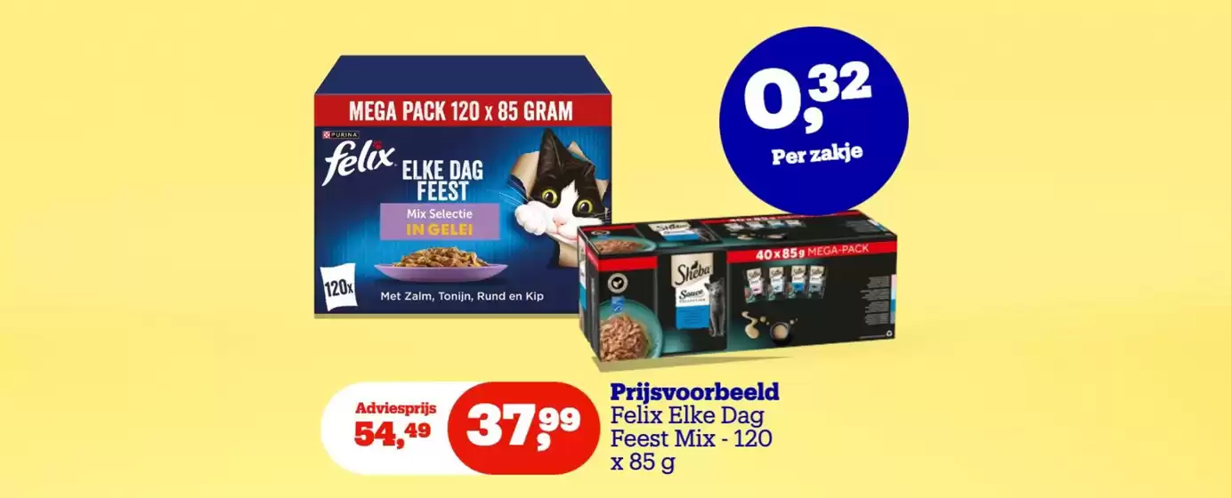 Bol folder | Oferta | 2026-09-21T00:00:00.000Z - 2026-10-21T00:00:00.000Z