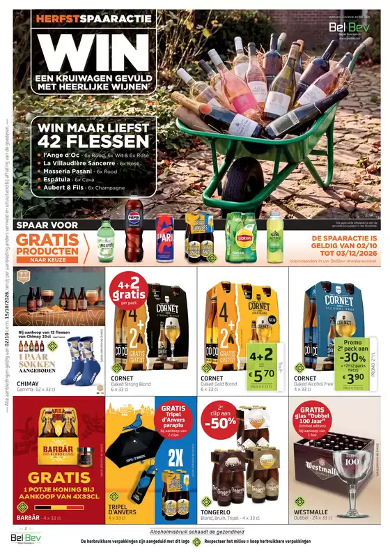 main_flyer image