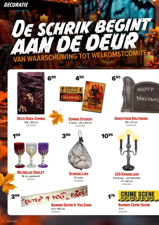 main_flyer image