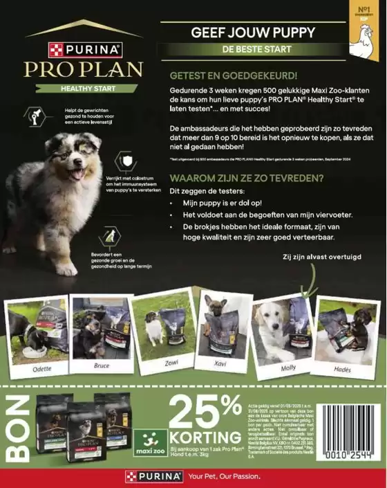 Magazine Maxi Zoo