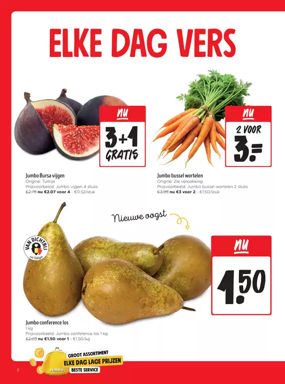 Folder Jumbo