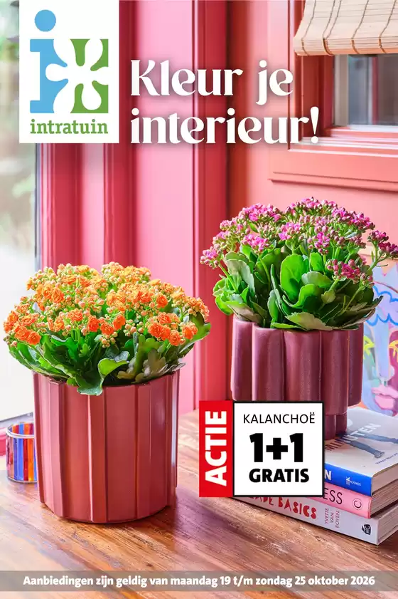 Intratuin folder | folder Intratuin | 2026-10-19T00:00:00.000Z - 2026-10-25T00:00:00.000Z