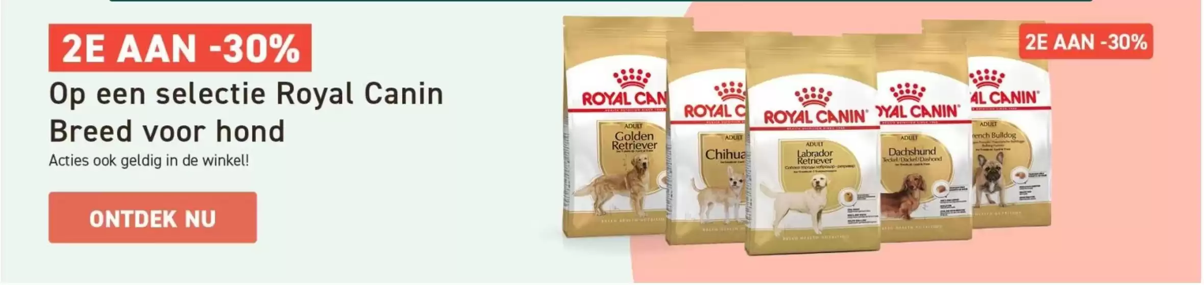 Tom & Co folder | Royan Canin -nl | 2026-10-20T00:00:00.000Z - 2026-11-20T00:00:00.000Z