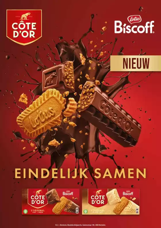 folder Alvo - NL