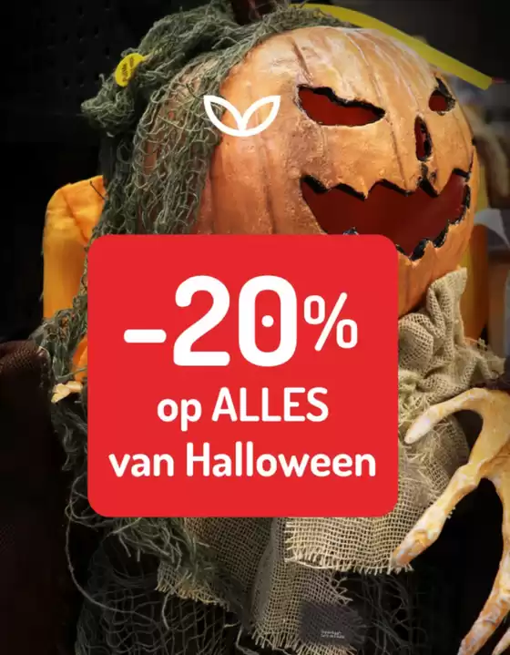 Catalogue Oh'Green | -20% Op Alle Van Halloween | 2025-10-30T00:00:00.000Z - 2025-11-07T00:00:00.000Z