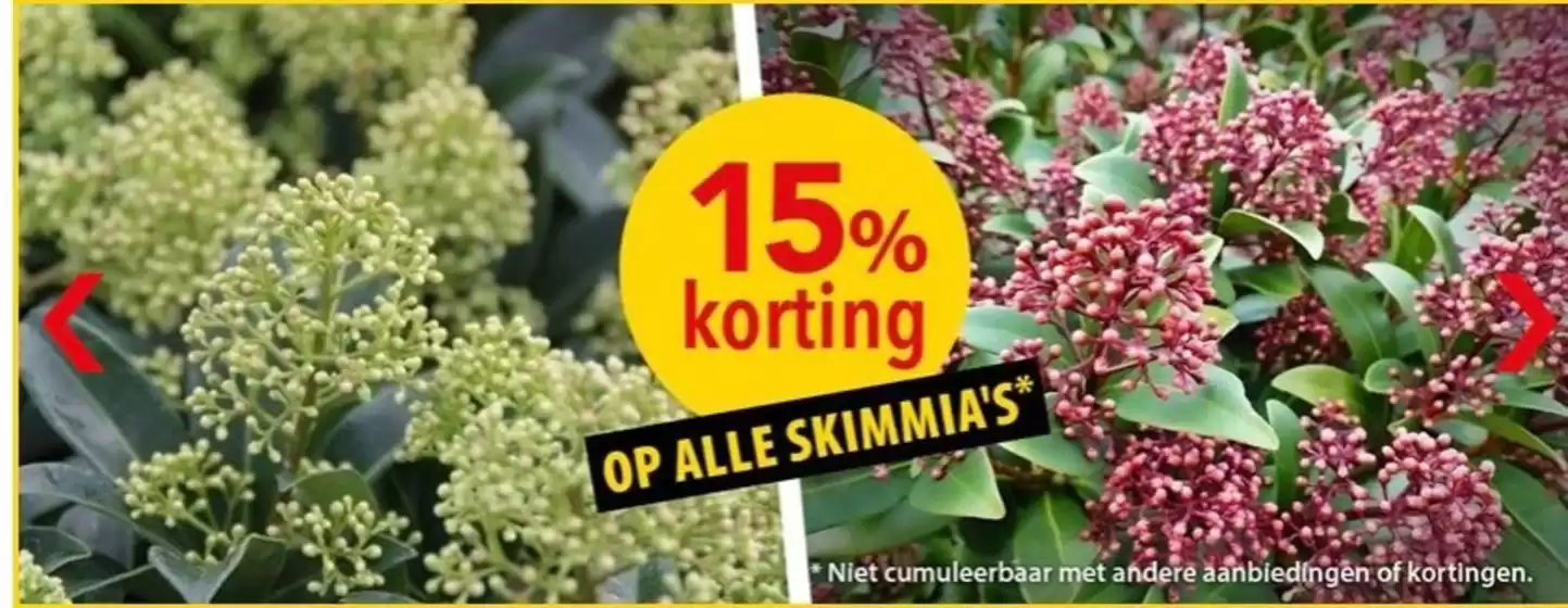 Catalogue Pelckmans à Mons | Korting | 2025-11-18T00:00:00.000Z - 2025-12-01T00:00:00.000Z