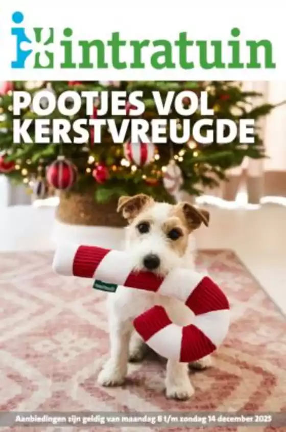 Catalogue Intratuin à Schoten | de Intratuin folder | 2025-12-08T00:00:00.000Z - 2025-12-14T00:00:00.000Z