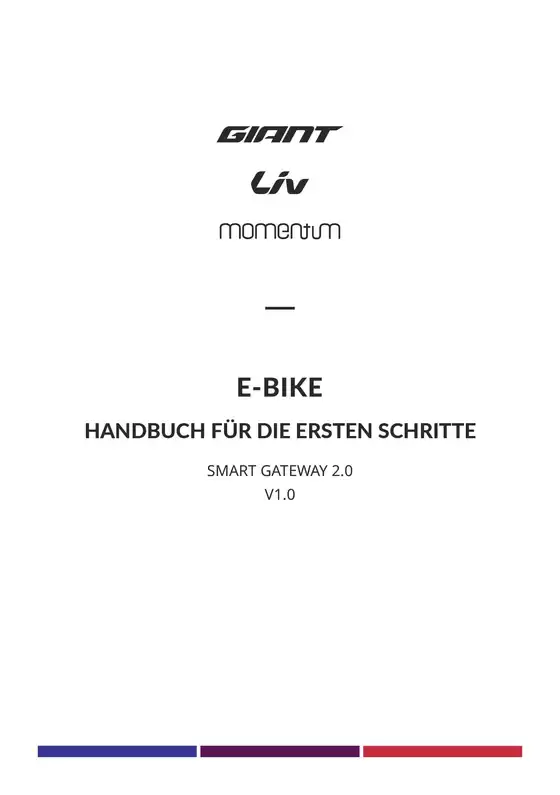 Catalogue Giant | Momentum | 2025-12-19T00:00:00.000Z - 2026-12-19T00:00:00.000Z