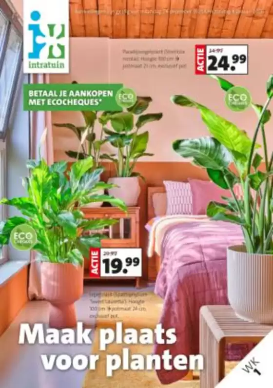 Catalogue Intratuin | Offres spéciales pour vous | 2025-12-01T00:00:00.000Z - 2026-01-05T00:00:00.000Z