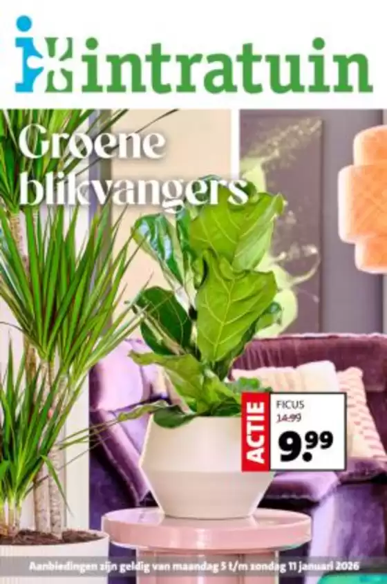 Catalogue Intratuin à Anvers | Nos meilleures offres pour vous | 2026-01-05T00:00:00.000Z - 2026-01-11T00:00:00.000Z