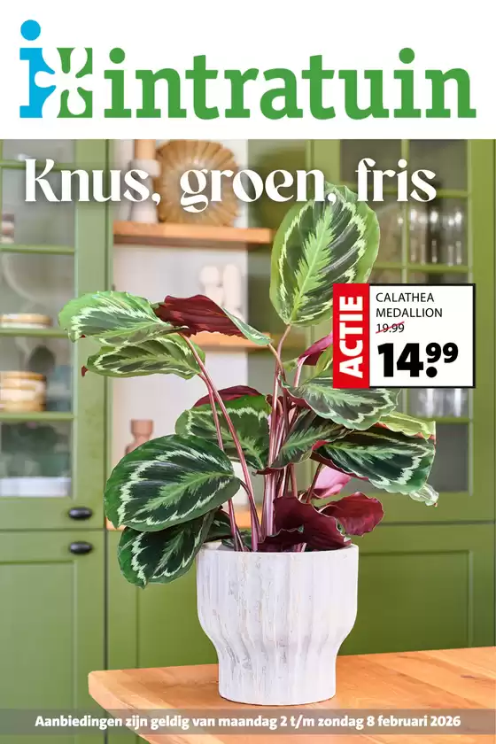 Catalogue Intratuin à Aubel | Nos meilleures offres pour vous | 2026-02-02T00:00:00.000Z - 2026-02-08T00:00:00.000Z