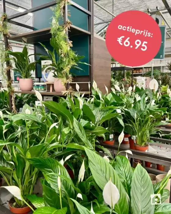 Catalogue Eurotuin à Assenede | Actieprijs | 2026-02-12T00:00:00.000Z - 2026-02-26T00:00:00.000Z