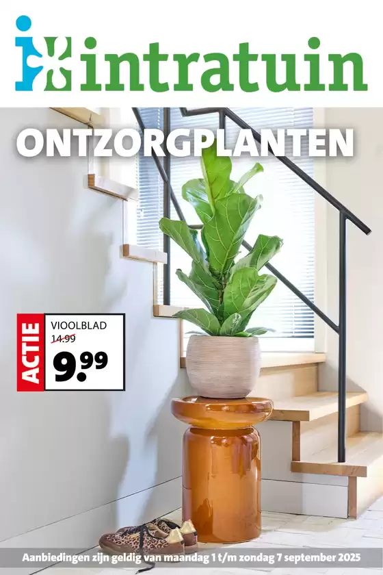 Catalogus van Intratuin in Gemert | Intratuin folder | 2025-10-20T00:00:00.000Z - 2025-10-26T00:00:00.000Z