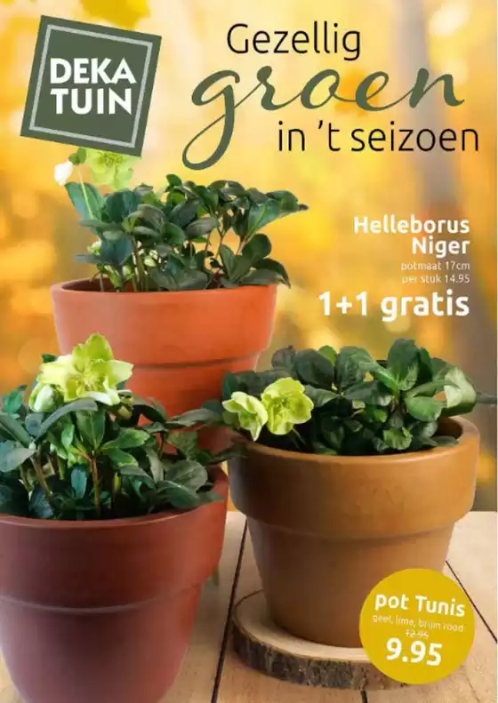 Catalogus van Deka Tuin in Naaldwijk | Gezellig graem in 't seizoen | 2025-10-29T00:00:00.000Z - 2025-11-09T00:00:00.000Z
