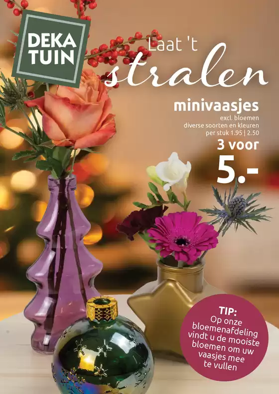 Catalogus van Deka Tuin in Beuningen | Laat 't stralen | 2025-11-25T00:00:00.000Z - 2025-12-07T00:00:00.000Z