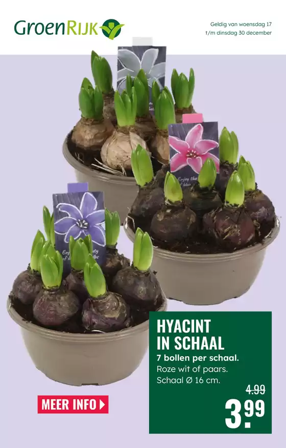 Catalogus van GroenRijk in Oirschot | GroenRijk folder | 2025-12-17T00:00:00.000Z - 2025-12-30T00:00:00.000Z