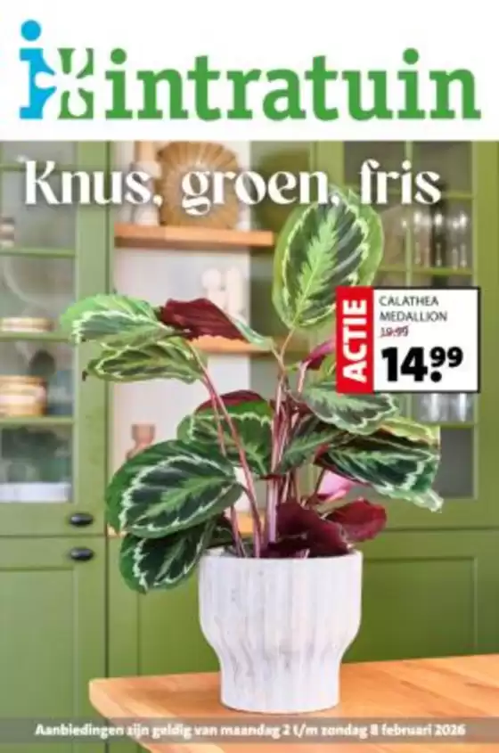 Catalogus van Intratuin in Geleen | Onze beste koopjes | 2026-02-02T00:00:00.000Z - 2026-02-08T00:00:00.000Z