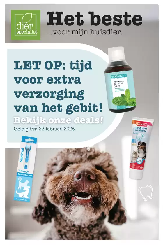 Catalogus van Dierspecialist in Amsterdam | Folder | 2026-02-04T00:00:00.000Z - 2026-02-22T00:00:00.000Z