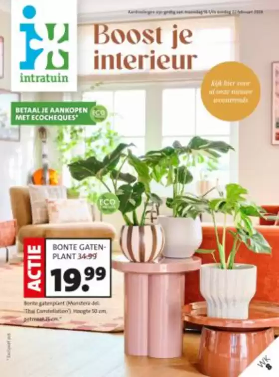 Catalogus van Intratuin in Veenendaal | Nieuwe aanbiedingen om te ontdekken | 2026-02-16T00:00:00.000Z - 2026-02-22T00:00:00.000Z