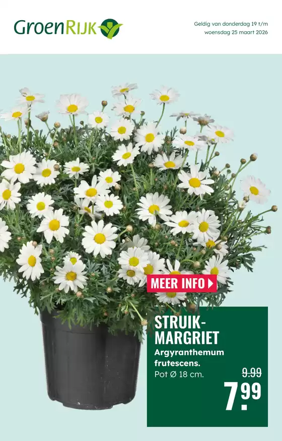 Catalogus van GroenRijk in Rhoon | Aantrekkelijke speciale aanbiedingen voor iedereen | 2026-03-19T00:00:00.000Z - 2026-03-25T00:00:00.000Z