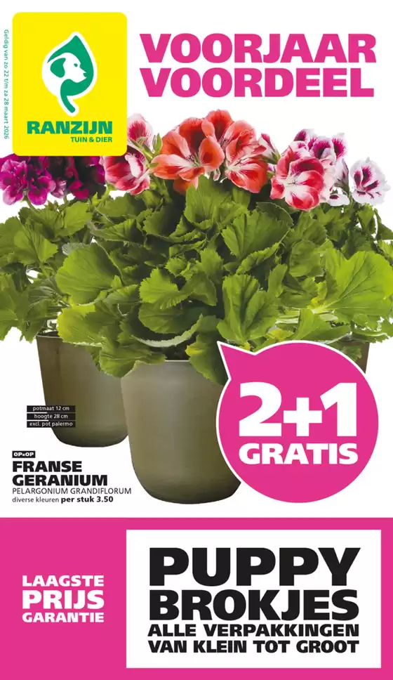 Catalogus van Ranzijn in Loosdrecht | Ranzijn folder | 2026-03-22T00:00:00.000Z - 2026-03-28T00:00:00.000Z