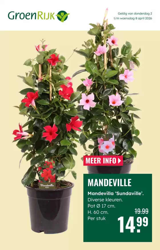 Catalogus van GroenRijk in Schagen | Topdeals en kortingen | 2026-04-02T00:00:00.000Z - 2026-04-08T00:00:00.000Z