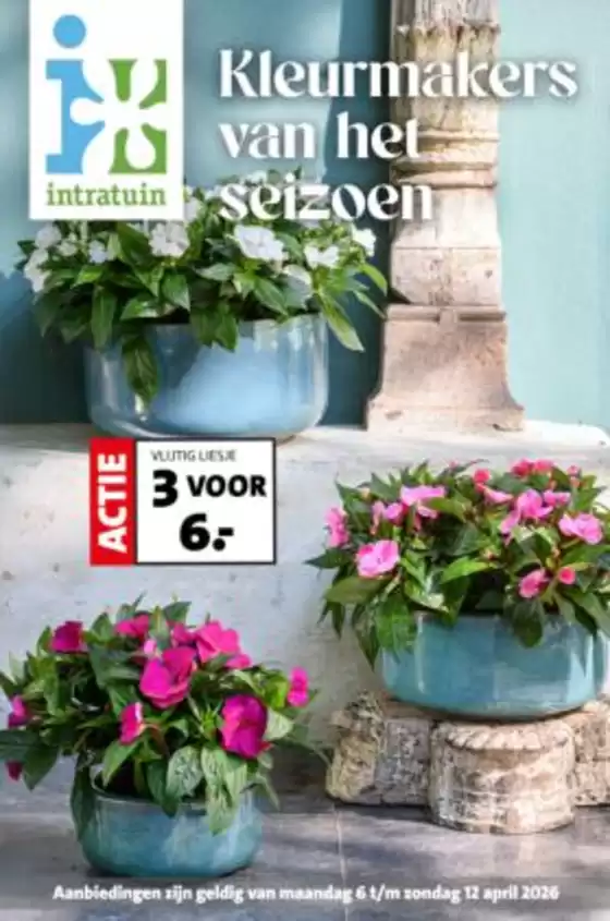 Catalogus van Intratuin in Oirlo | Intratuin folder | 2026-04-06T00:00:00.000Z - 2026-04-12T00:00:00.000Z