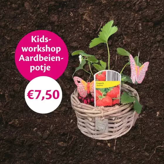 Catalogus van TuinWereld | TuinWereld Verkoop | 2026-04-21T00:00:00.000Z - 2026-05-05T00:00:00.000Z