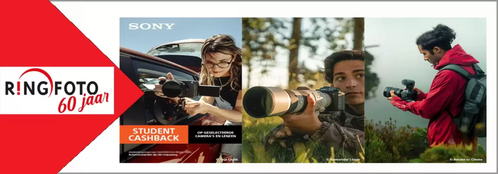 Catalogus van Ringfoto | Ringfoto 60 jaar | 2026-04-30T00:00:00.000Z - 2026-08-30T00:00:00.000Z