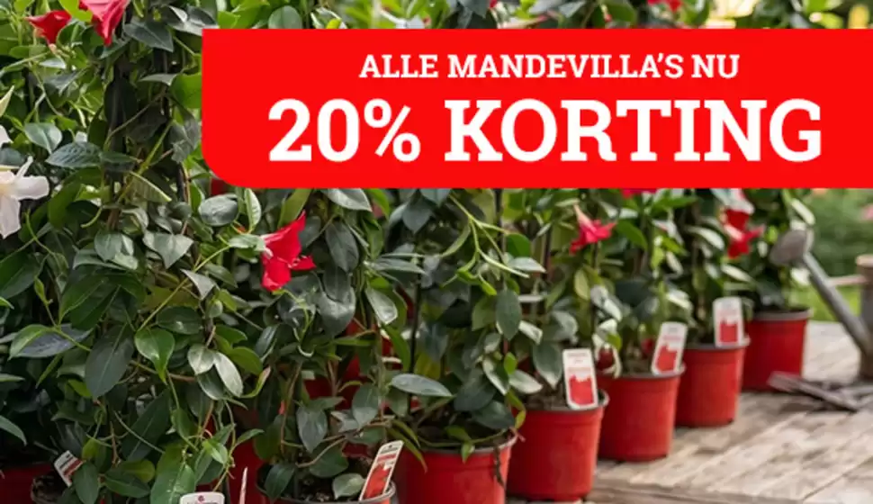 Catalogus van Tuincentrum Osdorp in Uithoorn | Tuincentrum Osdorp Promo | 2026-05-15T00:00:00.000Z - 2026-05-19T00:00:00.000Z