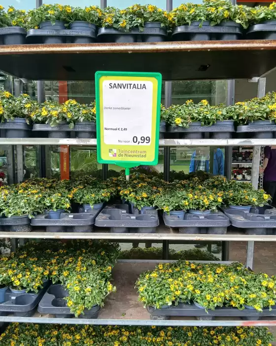 Catalogus van Tuincentrum de Nieuwstad | Tuincentrum De Nieuwstad Verkoop | 2026-05-20T00:00:00.000Z - 2026-06-03T00:00:00.000Z