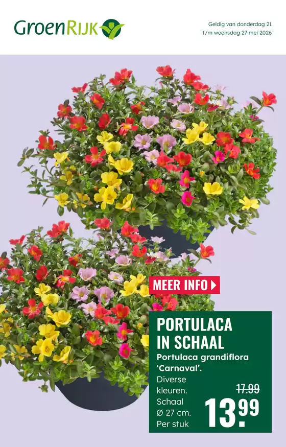 Catalogus van GroenRijk in Middelstum | Geweldig aanbod voor alle klanten | 2026-05-21T00:00:00.000Z - 2026-05-27T00:00:00.000Z