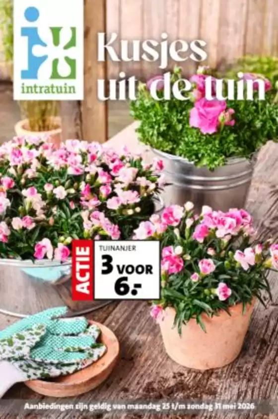 Catalogus van Intratuin | Intratuin folder | 2026-05-25T00:00:00.000Z - 2026-05-31T00:00:00.000Z
