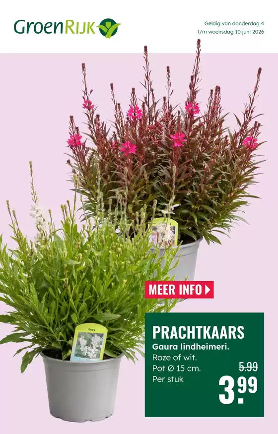 Catalogus van GroenRijk | Ontdek aantrekkelijke aanbiedingen | 2026-06-04T00:00:00.000Z - 2026-06-10T00:00:00.000Z