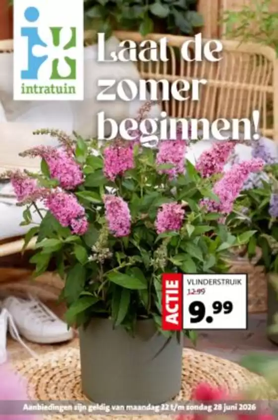 Catalogus van Intratuin | Intratuin folder | 2026-06-22T00:00:00.000Z - 2026-06-28T00:00:00.000Z